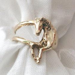 classic fine boned horse ring
